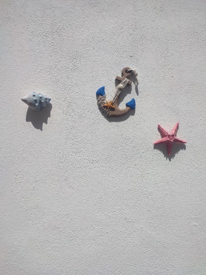 Appartamenti Le Conchiglie E Le Stelle Marine カーラゴノネ エクステリア 写真